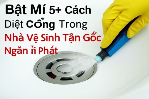 Bật Mí 5+ Cách Diệt Ruồi Cống Trong Nhà Vệ Sinh Tận Gốc, Ngăn Tái Phát