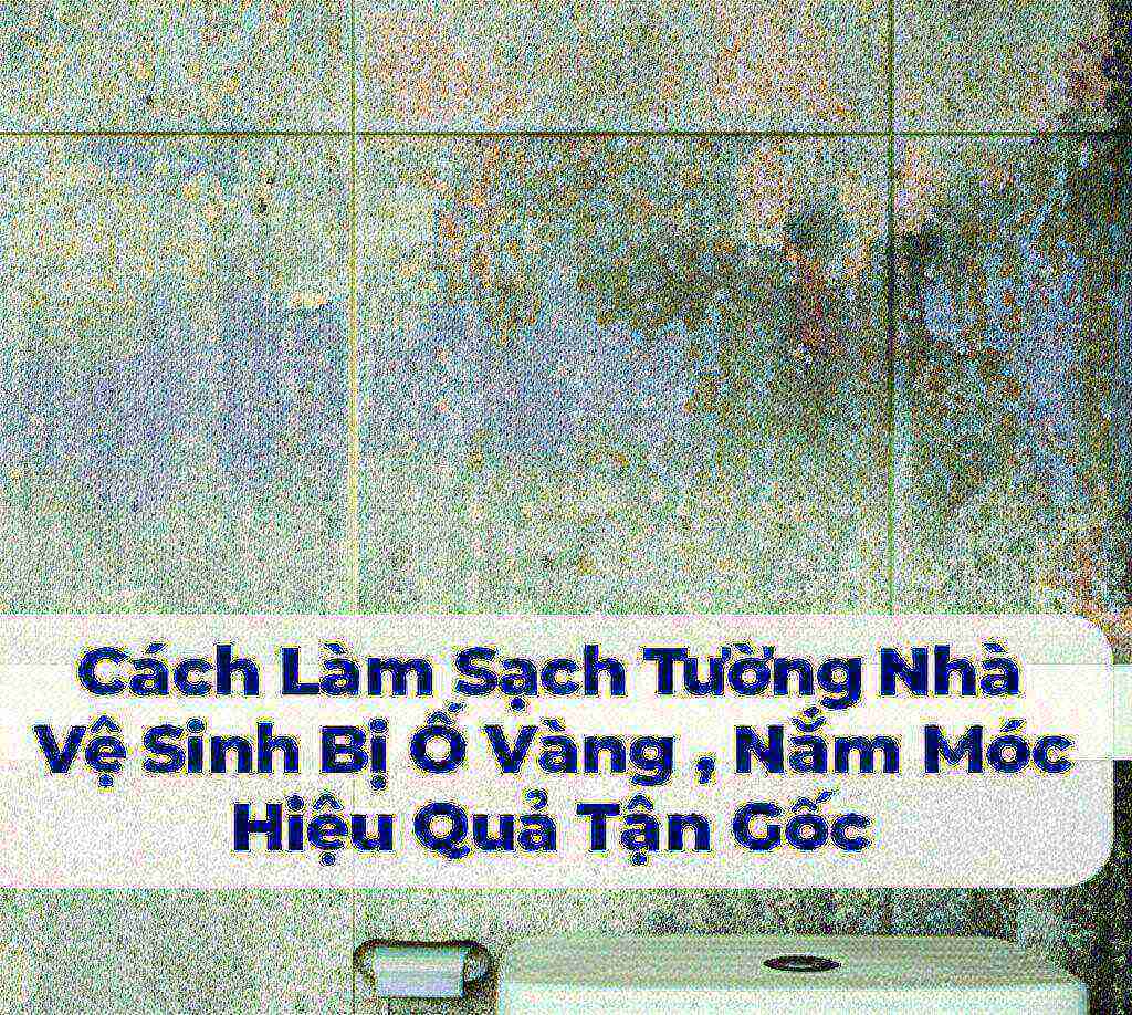 Hình minh họa cho bài viết: Cách Làm Sạch Tường Nhà Vệ Sinh Bị Ố Vàng, Nấm Mốc Hiệu Quả Tận Gốc