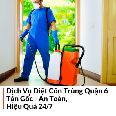 Dịch Vụ Diệt Côn Trùng Quận 6 Tận Gốc - An Toàn, Hiệu Quả 24/7