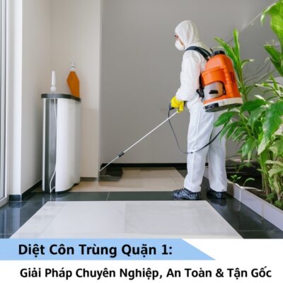 Diệt Côn Trùng Quận 1: Giải Pháp Chuyên Nghiệp, An Toàn & Tận Gốc