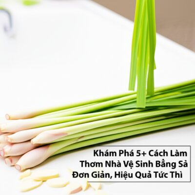 Khám Phá 5+ Cách Làm Thơm Nhà Vệ Sinh Bằng Sả Đơn Giản, Hiệu Quả Tức Thì